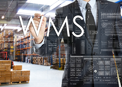 Warehouse software (WMS system) consultation